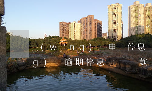 網(wǎng)貸申請停息掛賬（網(wǎng)貸逾期停息掛賬還款）