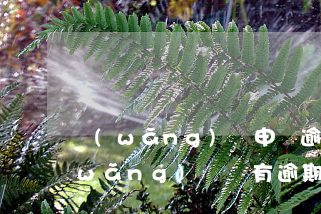 網(wǎng)貸申請逾期不批怎么辦(網(wǎng)貸沒有逾期過為什么申請不下來了)