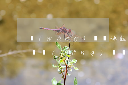 網(wǎng)貸異地起訴執(zhí)行難(網(wǎng)貸異地起訴欠款人)