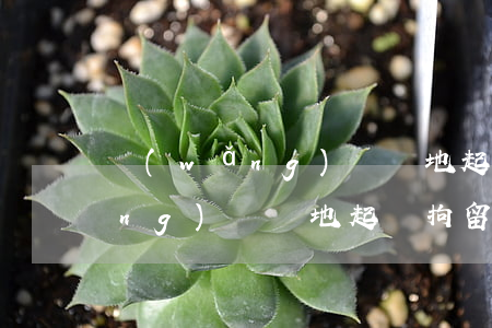 網(wǎng)貸異地起訴拘留嗎 網(wǎng)貸異地起訴拘留嗎有案底嗎