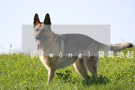 網(wǎng)貸異地起訴是好事嗎