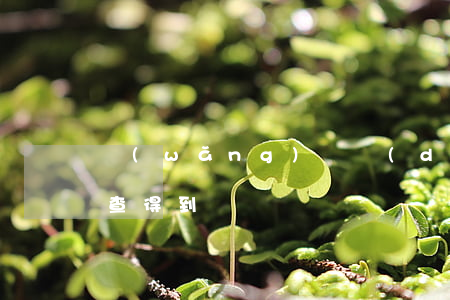 網(wǎng)貸當(dāng)前逾期能查得到嗎
