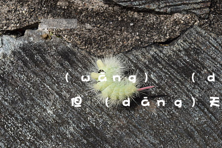 網(wǎng)貸當(dāng)天扣款失敗但當(dāng)天手動還款-網(wǎng)貸當(dāng)天扣款失敗但當(dāng)天手動還款了