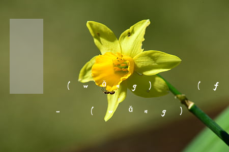 網(wǎng)貸發(fā)來短信說起訴-網(wǎng)貸發(fā)來短信說起訴怎么辦