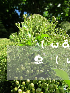 網(wǎng)貸發(fā)來要起訴的信息(網(wǎng)貸發(fā)信息說要起訴我是真的嗎)