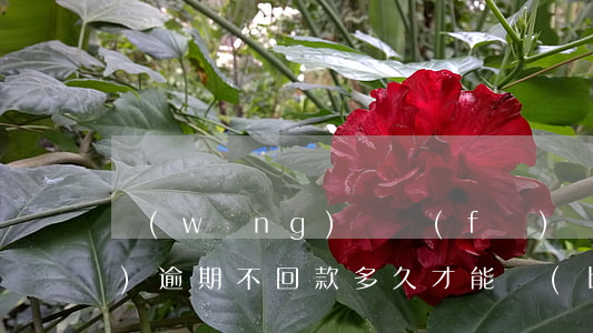 網(wǎng)貸發(fā)現(xiàn)逾期不回款多久才能報(bào)案-網(wǎng)貸發(fā)現(xiàn)逾期不回款多久才能報(bào)案呢