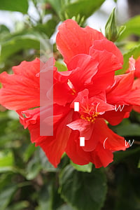 網(wǎng)貸發(fā)短信說起訴了(網(wǎng)貸發(fā)短信說起訴了怎么辦)