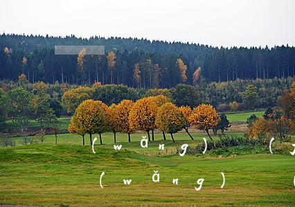 網(wǎng)貸發(fā)起訴敗訴通知 網(wǎng)貸發(fā)起訴敗訴通知怎么寫