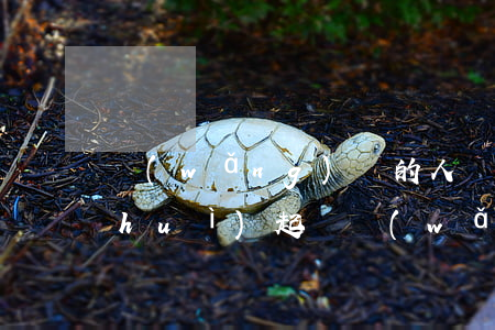 網(wǎng)貸的人會(huì)不會(huì)起訴(網(wǎng)貸到底會(huì)不會(huì)起訴你)