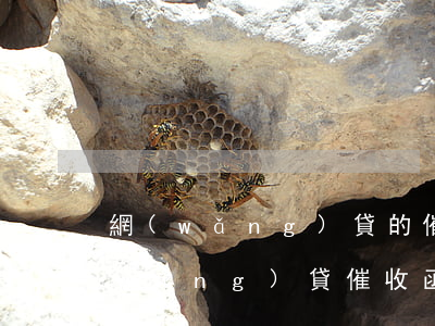 網(wǎng)貸的催收函寄到村委會(網(wǎng)貸催收函一般是寄到哪里)