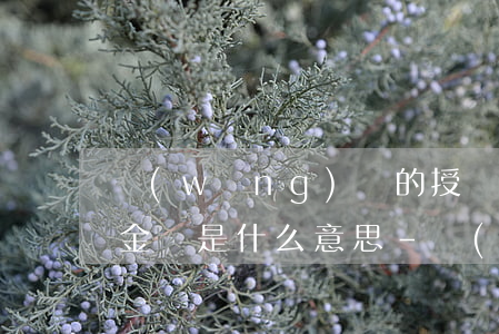 網(wǎng)貸的授權(quán)還款金額是什么意思-網(wǎng)貸的授權(quán)還款金額是什么意思啊