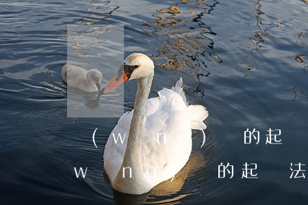 網(wǎng)貸的起訴法院會通知嗎（網(wǎng)貸的起訴法院）