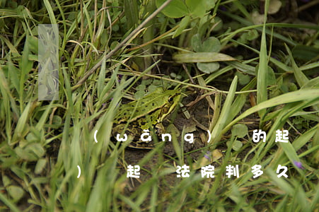 網(wǎng)貸的起訴法院(網(wǎng)貸起訴法院判多久還清)