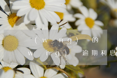 網(wǎng)貸的違約金可以不還嗎(網(wǎng)貸逾期利息和違約金越來越多)