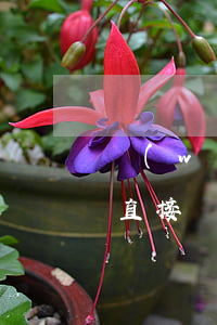 網(wǎng)貸的錢(qián)家屬能直接轉(zhuǎn)賬還款嗎-網(wǎng)貸的錢(qián)家屬能直接轉(zhuǎn)賬還款嗎安全嗎