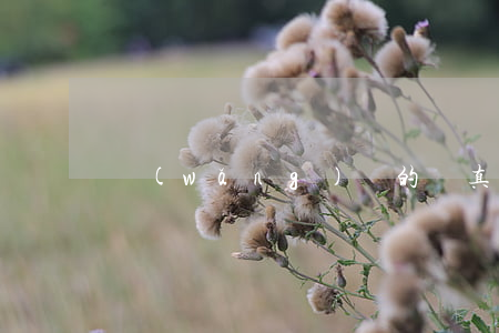 網(wǎng)貸的錢真的可以不還嗎