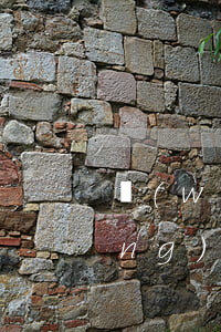 網(wǎng)貸的高利貸還不起(網(wǎng)貸的高利貸還不起怎么辦)
