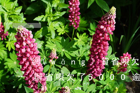 網(wǎng)貸省唄欠了4萬逾期了怎么辦(省唄欠了5000逾期半年了會不會被起訴)