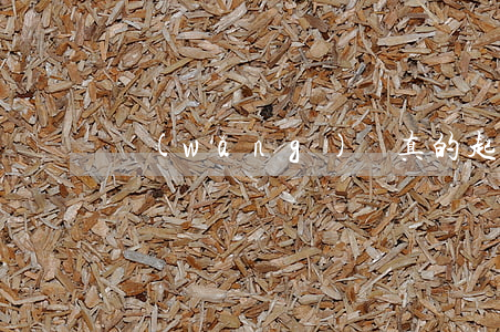 網(wǎng)貸真的起訴嗎