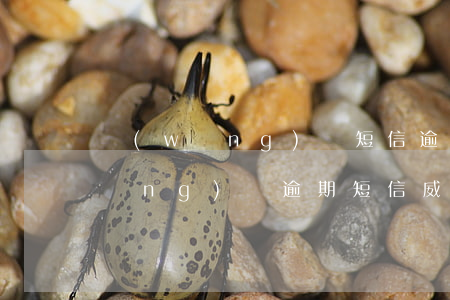 網(wǎng)貸短信逾期怎么處理(網(wǎng)貸逾期短信威脅怎么辦)
