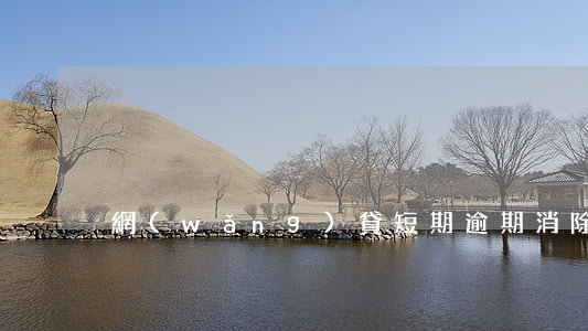 網(wǎng)貸短期逾期消除方法
