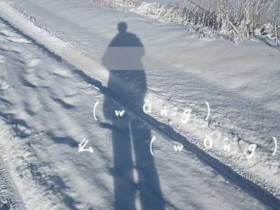 網(wǎng)貸確實(shí)沒錢還怎么辦(網(wǎng)貸實(shí)在沒錢還了怎么辦)