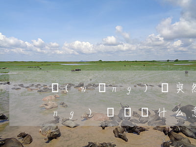 網(wǎng)貸突然斷貸還不起(網(wǎng)貸斷貸什么意思)