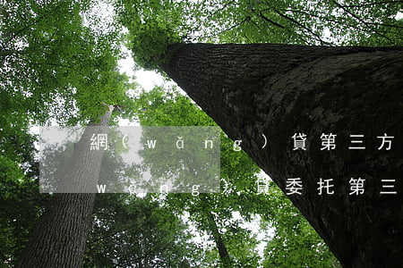 網(wǎng)貸第三方催收公司多久(網(wǎng)貸委托第三方催收是否合法)