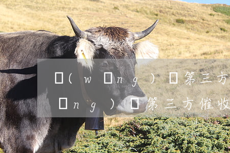 網(wǎng)貸第三方催收煩死了(網(wǎng)貸第三方催收合法嗎)