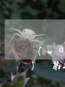 網(wǎng)貸第三方起訴(網(wǎng)貸第三方催收合法嗎)