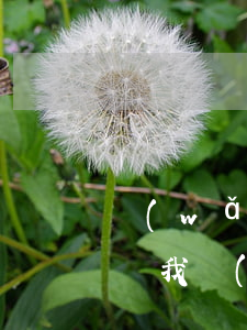 網(wǎng)貸第二次又欠20多W怎么辦(我網(wǎng)貸欠了20幾萬怎么辦)
