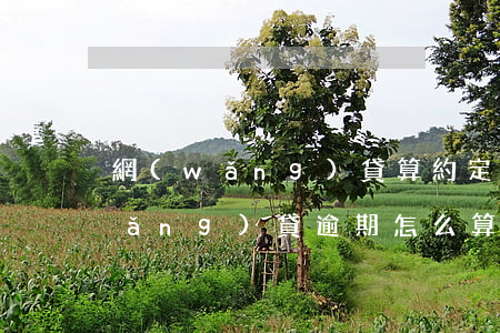 網(wǎng)貸算約定逾期利息么(網(wǎng)貸逾期怎么算利息和罰息)