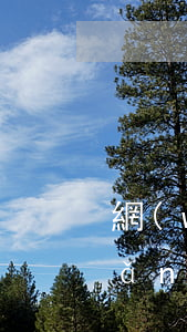 網(wǎng)貸簽合同了不貸起訴（網(wǎng)貸簽合同了不貸起訴）