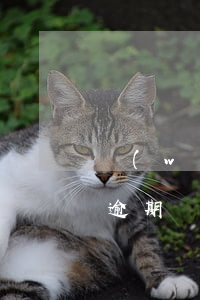 網(wǎng)貸系統(tǒng)維護算逾期嗎(網(wǎng)貸逾期如何處理比較好)