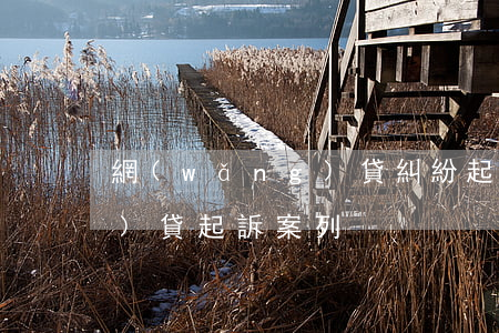 網(wǎng)貸糾紛起訴狀(網(wǎng)貸起訴案列)
