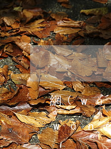 網(wǎng)貸納米逾期后果怎么樣(網(wǎng)貸納米逾期后果怎么樣)
