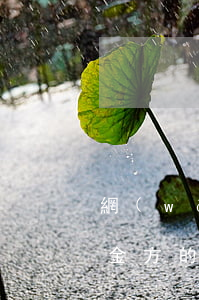 網(wǎng)貸結(jié)清還收到資金方的逾期短信-網(wǎng)貸結(jié)清還收到資金方的逾期短信怎么辦