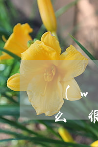 網(wǎng)貸經(jīng)常逾期怎么辦(很多網(wǎng)貸都逾期了怎么辦)