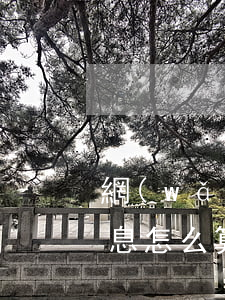 網(wǎng)貸網(wǎng)貸逾期利息怎么算(網(wǎng)貸多長(zhǎng)時(shí)間算逾期)