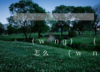 網(wǎng)貸網(wǎng)賭欠40萬怎么辦(網(wǎng)賭欠了20多萬怎么辦)