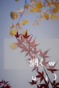 網(wǎng)貸續(xù)期真的會(huì)起訴嗎 網(wǎng)貸到期了