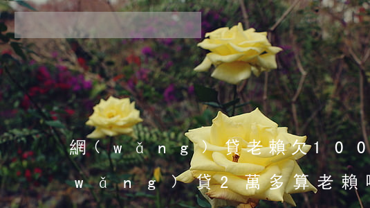 網(wǎng)貸老賴欠1000元(欠網(wǎng)貸2萬多算老賴嗎)