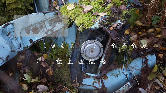 網(wǎng)貸能不能起訴（網(wǎng)貸敢上法院起訴嗎）