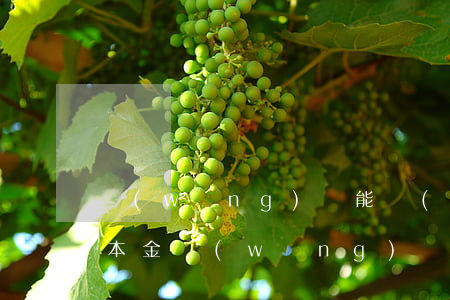 網(wǎng)貸能協(xié)商嗎只還本金(網(wǎng)貸可以協(xié)商只還本金嘛)