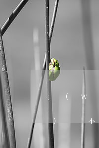 網(wǎng)貸能欠多久(欠網(wǎng)貸不還被催多久)
