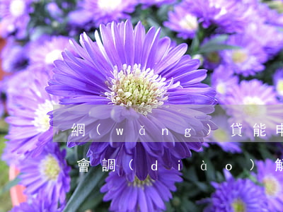 網(wǎng)貸能申請銀監(jiān)會調(diào)解分期還款嗎-網(wǎng)貸能申請銀監(jiān)會調(diào)解分期還款嗎