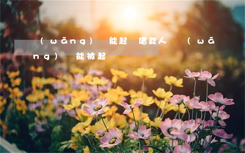 網(wǎng)貸能起訴借款人嗎（網(wǎng)貸能被起訴嗎）