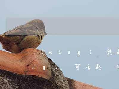 網(wǎng)貸能起訴到法院嗎（網(wǎng)貸可以起訴侵占財產(chǎn)嗎）