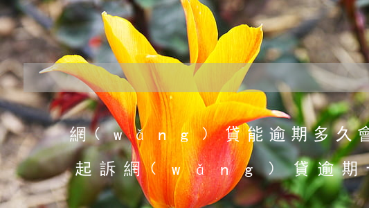 網(wǎng)貸能逾期多久會(huì)起訴(網(wǎng)貸逾期十幾天會(huì)被起訴嗎)