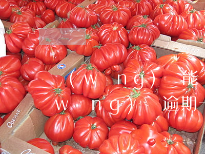 網(wǎng)貸能還一期逾期一期嗎(網(wǎng)貸逾期一年半了)